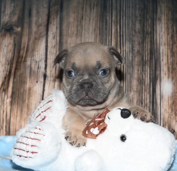 Riley - Image 8